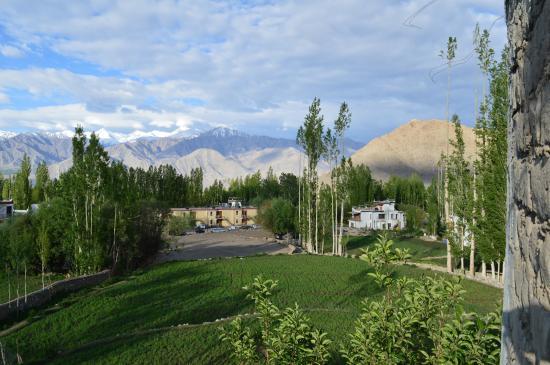 Hotel Jorchung Leh Buitenkant foto